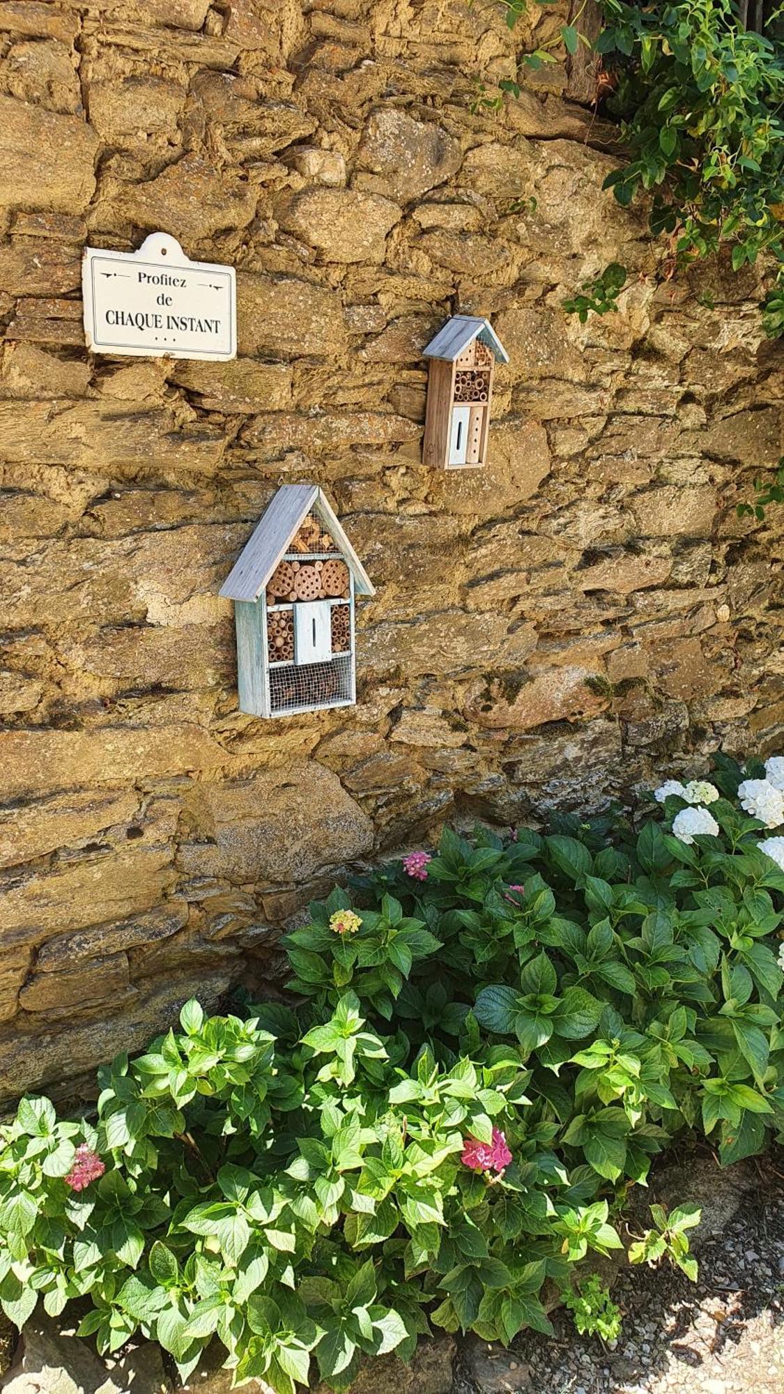 La Ferme Des Andes - Gite L'Atelier Quins Eksteriør billede