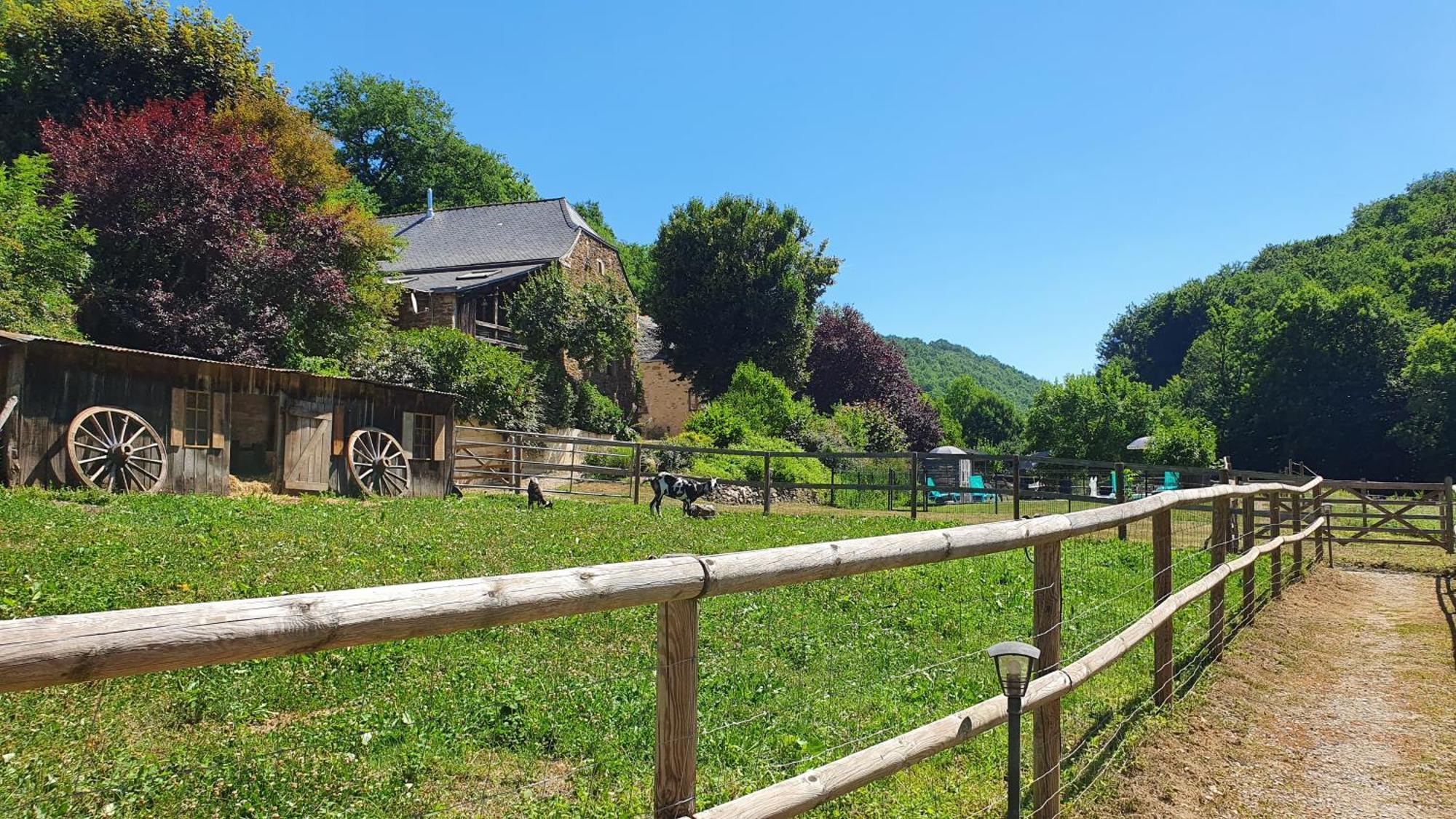 La Ferme Des Andes - Gite L'Atelier Quins Eksteriør billede