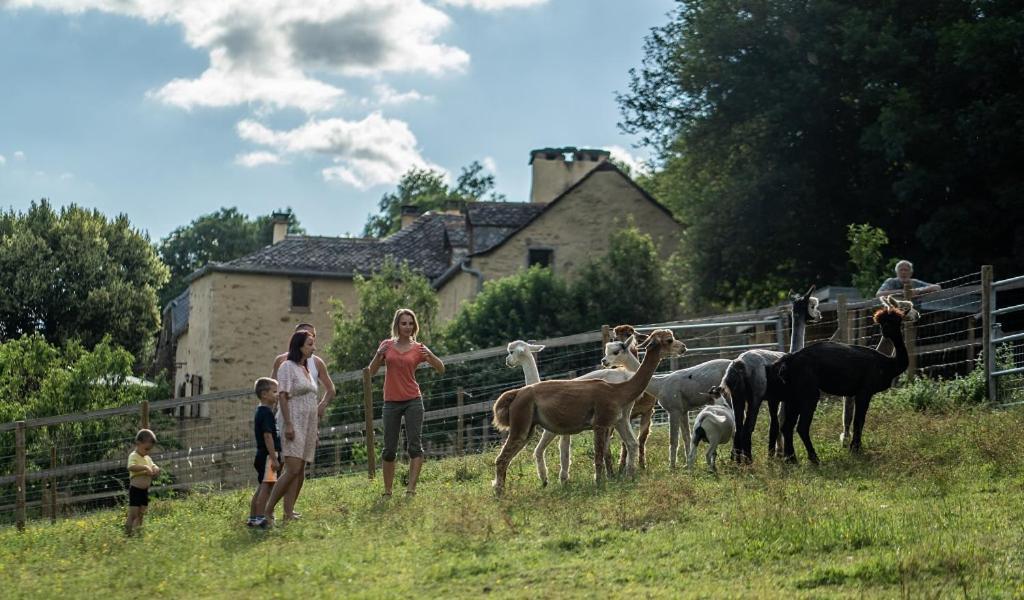 La Ferme Des Andes - Gite L'Atelier Quins Eksteriør billede