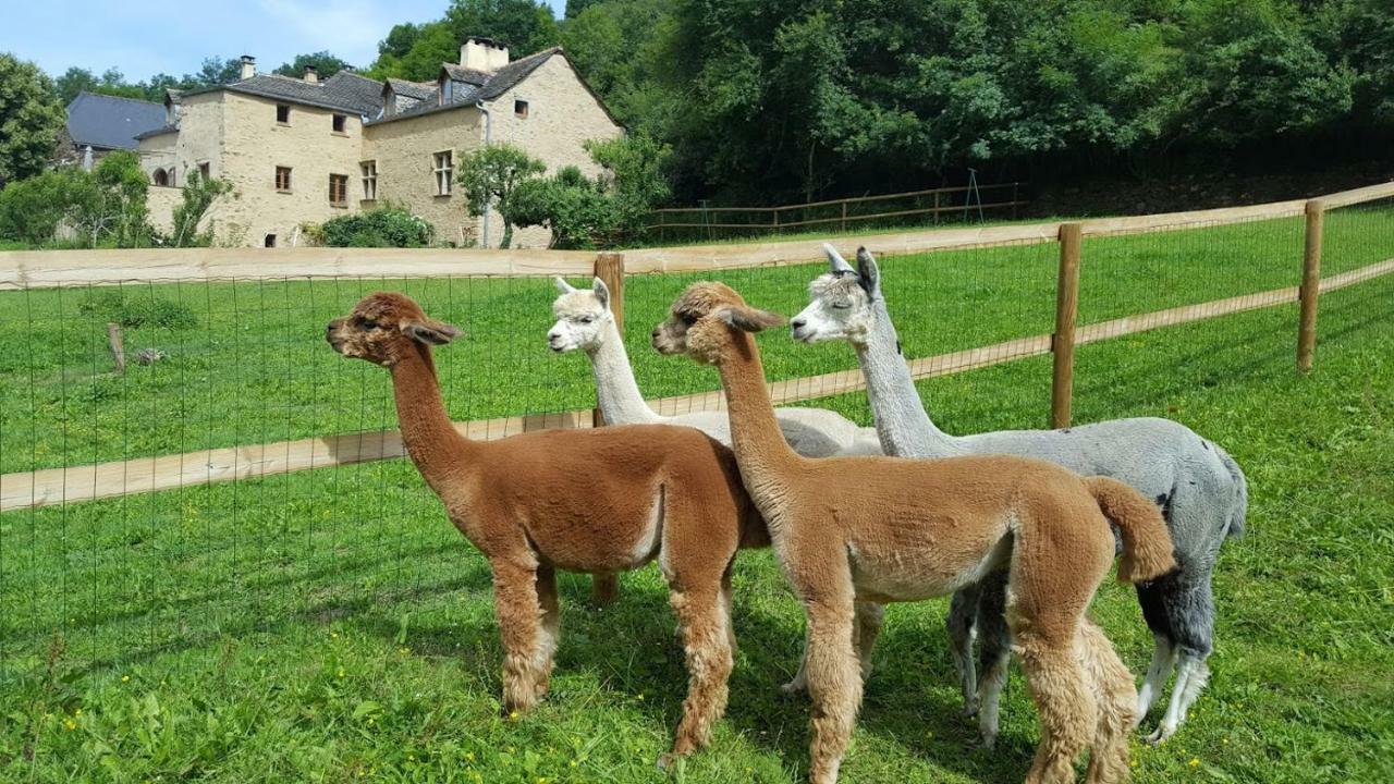 La Ferme Des Andes - Gite L'Atelier Quins Eksteriør billede